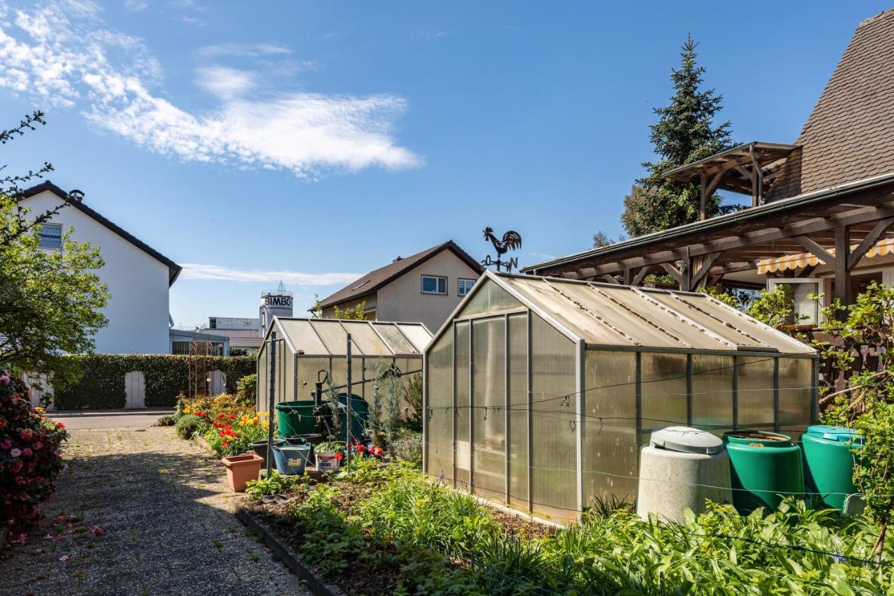 Ferienwohnung Trixi Sexau Bagian luar foto